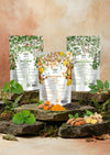 Herbal Wellness Trio – Turmeric, Brahmi & Aadathodai Malt Combo